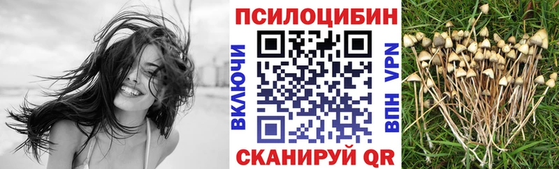 Галлюциногенные грибы мухоморы  кракен tor  Котельниково 
